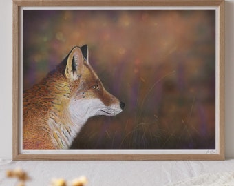 Red Fox Fine Art Print, British Wildlife Decor