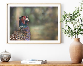 Fasan Giclee Print, Mixed Media British Wildlife Art
