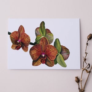 Carte d'orchidée rouge et jaune, carte de joyeux anniversaire, carte de voeux botanique, intérieur vierge, juste parce que, je pense à vous, carte d'art orchidée.