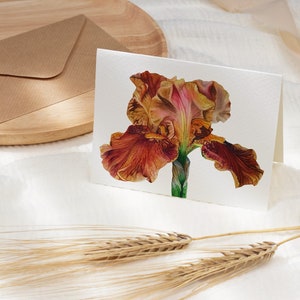 Iriswenskaart, gelukkige verjaardagskaart, lentekaart, botanische kaart, blanco binnenkant, tuinkaart, oranje iris. Moederdagkaart, bloemenkaart