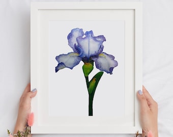 Iris Aquarell Druck, Blumen Kunst (A4)