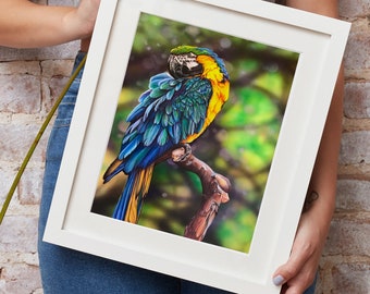 Blau-gelber Ara Kunstdruck, Tropische Vogel Illustration