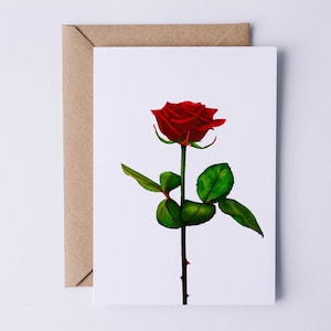 Red Rose Greeting Card, Happy Birthday Card, Floral, Botanical Card, Blank Inside, Just Because, I Love You, Flower Card, Anniversary Card