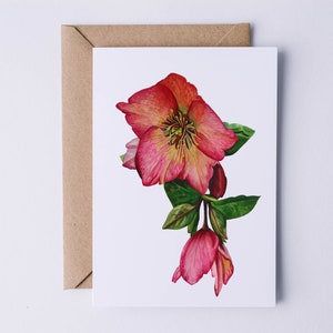 Carte de voeux hellébore, carte de joyeux anniversaire, carte de voeux botanique florale, carte vierge, juste parce que, je pense à vous, carte de fleurs d'hiver