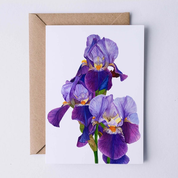 Dancing Iris Greeting Card, Happy Birthday Card, Spring Card, Botanical Card, Blank Inside, Garden Card, Purple Iris. Mother's Day Card