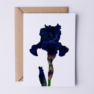 Carte de voeux iris bleu déesse, carte de joyeux anniversaire, carte fleur de printemps, carte de voeux botanique, intérieur vierge, carte de jardiniers, iris bleu