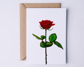 Red Rose Greeting Card, Happy Birthday Card, Floral, Botanical Card, Blank Inside, Just Because, I Love You, Flower Card, Anniversary Card
