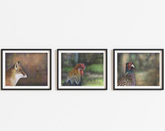 Rooster, Pheasant, Fox Print Set, British Wildlife Art, Cottage Decor