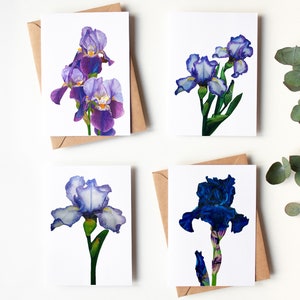 Lot de 4 cartes de voeux botaniques Iris, carte de collection Iris, lot de quatre cartes d'art botanique aquarelle, carte vierge, carte de fête des mères