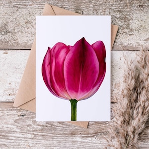 Tulpwenskaart, kunstkaart, op de natuur geïnspireerde kaart, botanische wenskaart, lentekaart, bloemenkaart, gepersonaliseerde jubileumkaart