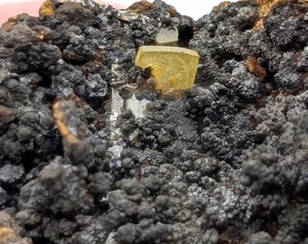 Op de afbeelding: Een mineraalexemplaar met een klein, doorschijnend, lichtgeel kristal ingebed in een donkere, getextureerde, poreuze matrix van zwarte en roestbruine mineraalformaties. Het kristal heeft een duidelijke geometrische vorm.
