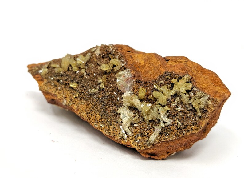 Austinite Crystals on Limonite  Cabinet  Mexican Mineral image 0