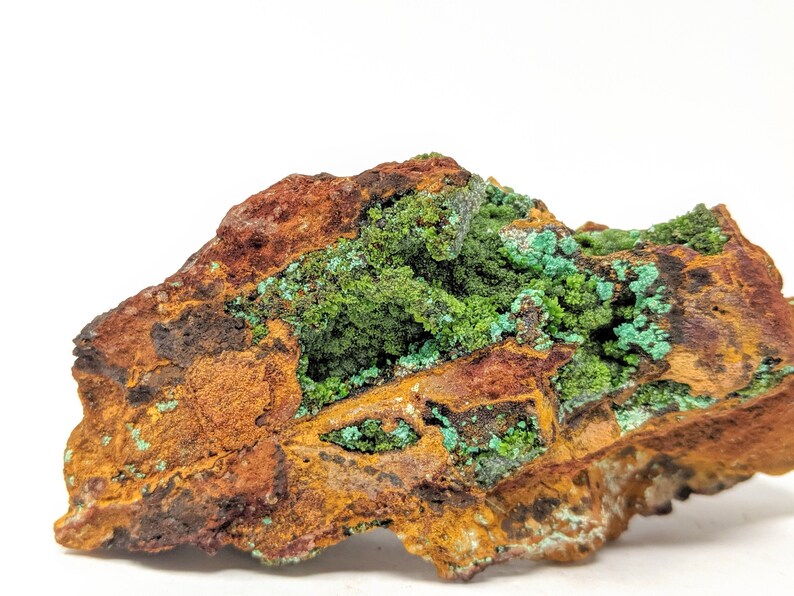 Cuprian Austinite Crystals on Limonite  Large Cabinet  image 0