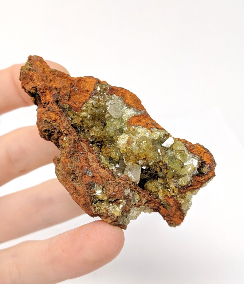 Austinite Crystals on Limonite  Miniature  Mexican Mineral image 0