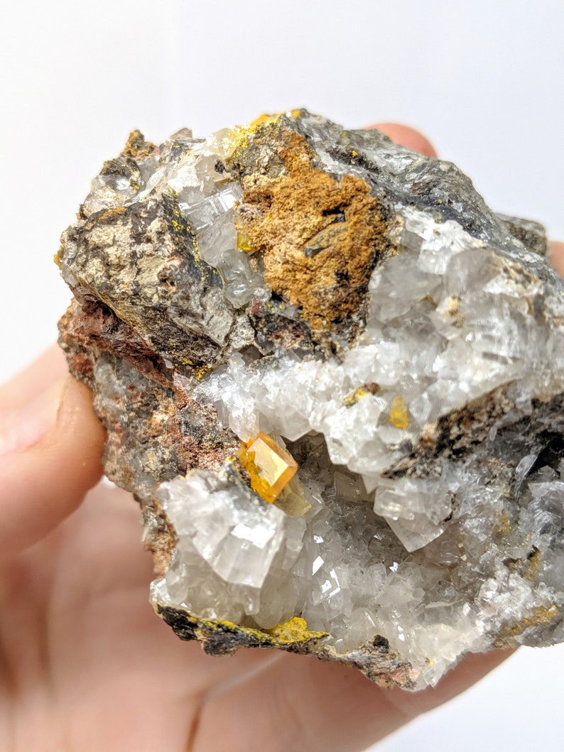 Wulfenite Crystal  Cabinet  Mexican Mineral Collection image 0