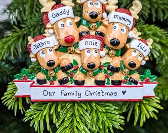 Personalised Reindeer Couple Family 3 4 5 6 7 Christmas Tree Decoration Group Hanging Ornament First Christmas Together Bauble 1st Xmas 2023