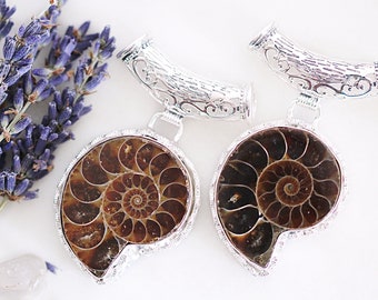 Ammonite Fossil Pendant Necklace - Prehistoric Ammonite Fossil - Natural Jewellery - Ocean Necklace - Sea Pendant - Healing Fossil Necklace