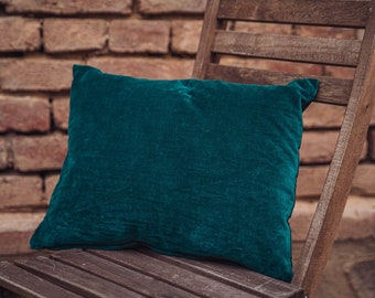 Travel Pillow: Indian cotton velvet - P471