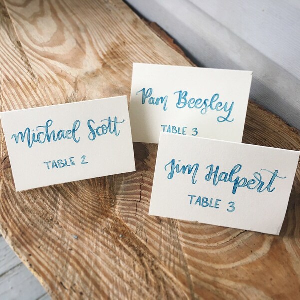 Watercolor Place Cards / Escort Cards / Modern Calligraphy / Custom Name Cards