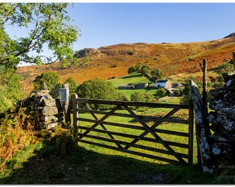 Derwent water Keswick Lake district National park UK - landscape nature