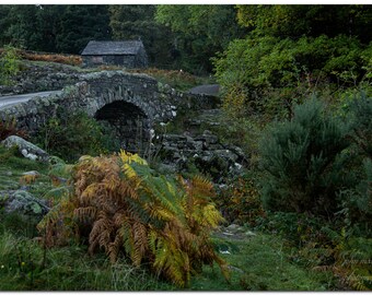 Derwent water ashness bridge Lake district National park UK - landscape nature