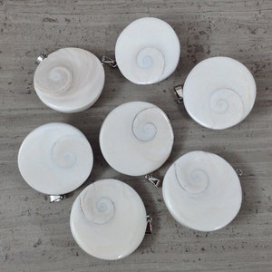Pode incluir: Sete pingentes redondos de concha de cor branca e creme com um padrão em espiral. Cada pingente tem uma argola de prata.