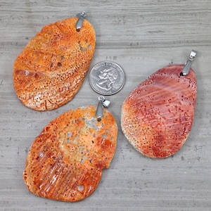 May include: Three orange and red coral pendants with silver bail. The coral is a natural material with a porous texture.