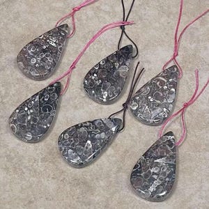 Turritella Fossil Agate, Teardrop Shape, Top Side Drilled, Pendant