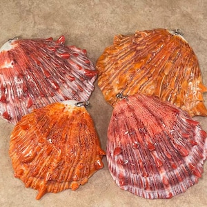 Spiny Oyster Shell, Druzy Large Pendant, Orange spiny oyster / Red spiny oyster Option