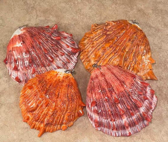 Coquille D'huître épineuse Rouge Et Orange - 5,5 Pouces - Mexique