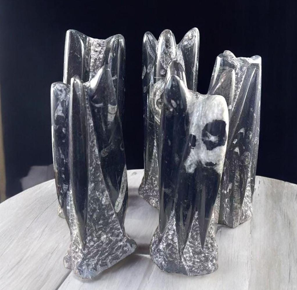 Orthoceras Fossil Tower Sculpture, Cephalopod Fossil Stone Statue