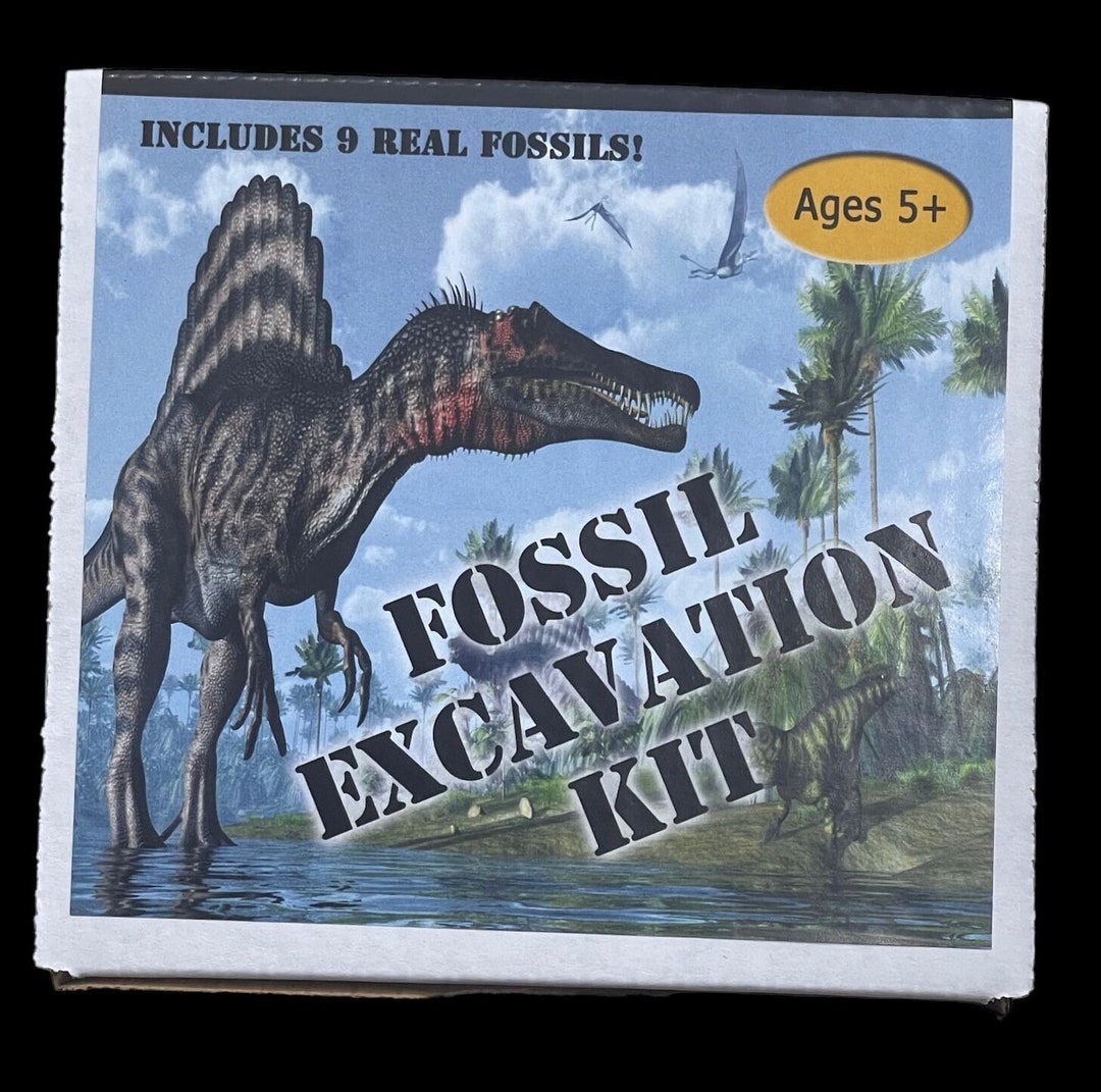Fossil Excavation Kit Made in USA, 9 Real Fossils *ages