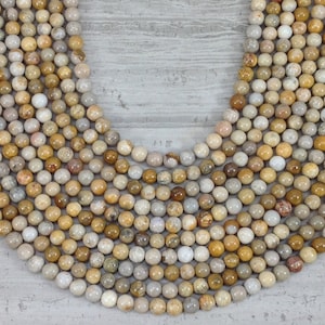 Fossil Coral Round 6mm 8mm 10mm 12mm