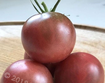 Black Cherry Tomato (25 Seeds Min.)