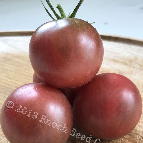 Black Cherry Tomato (25 Seeds Min.)