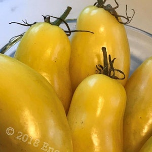 May include: A bowl of five yellow heirloom tomatoes. The tomatoes are smooth and shiny, with a slightly elongated shape. The tomatoes are arranged in a bowl, with the stems facing up. The text "© 2018 Enoch Seed Company" is visible in the lower right corner of the image.