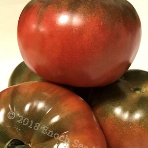 Black Krim Tomato (25 Seeds Min.)