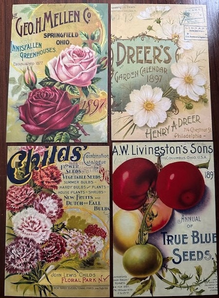 Set of 12 Vintage Postcards - Seed Catalogue Covers, Assorted. [4 Vintage Designs, 3 Postcards Each, Suitable for Mailing or Display, Set 1]
