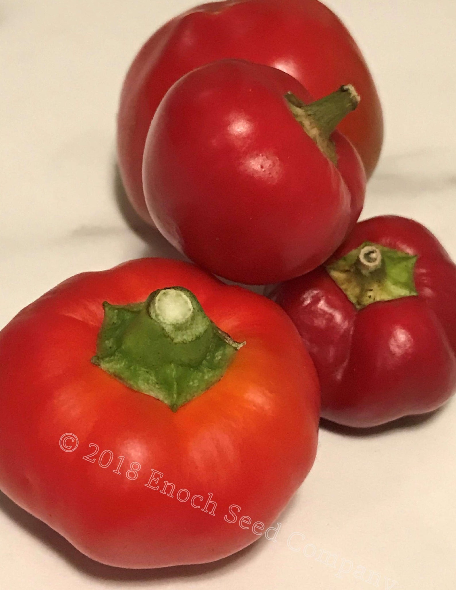 Red Hot Cherry Pepper 15 Seeds Min. Etsy Canada