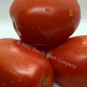 Red Roma Tomato Seeds (Paste Tomato, Open Pollinated, Non-GMO Seeds, 25 Seeds Min. Per Package, Grown and Packaged in Canada)