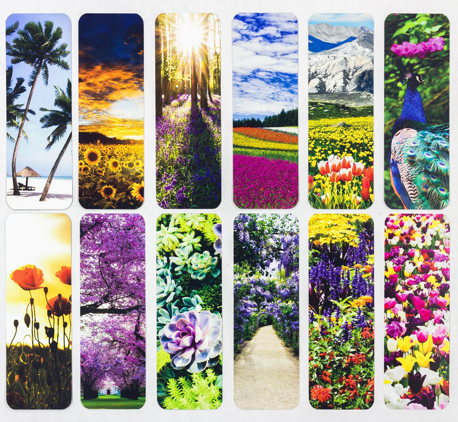 Set of Bookmarks Flower Themed of Beautiful Life Etsy