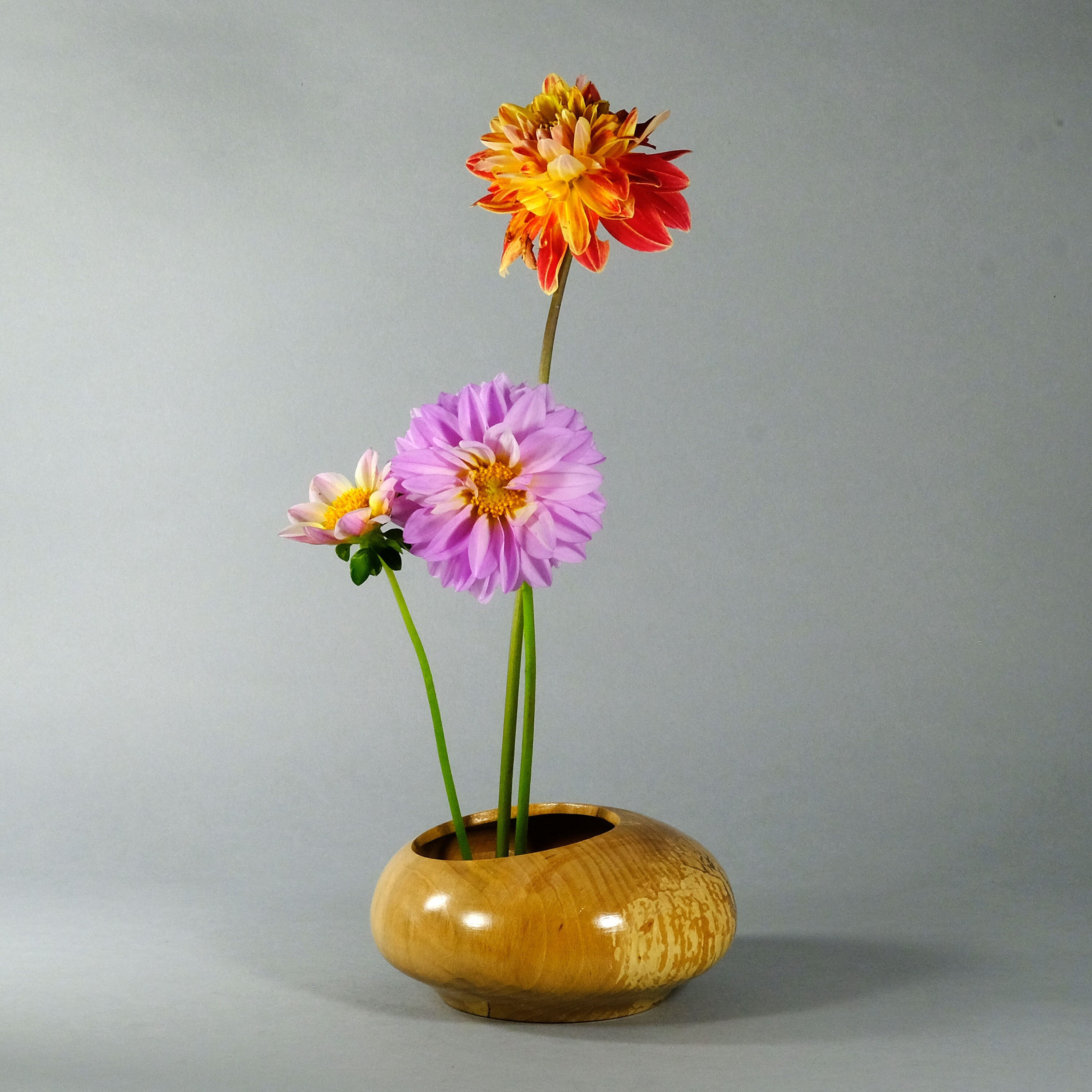 3 Colors Kenzan/flower Frog/flower Arrangement/japanese Ikebana