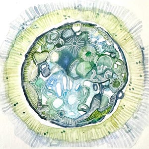EMBRYO ART: Custom blastocyst IVF gift; personalized pregnancy announcement portrait; watercolor baby nursery wall art; embryo painting