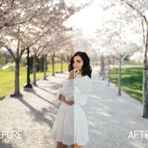 Best Lightroom Presets