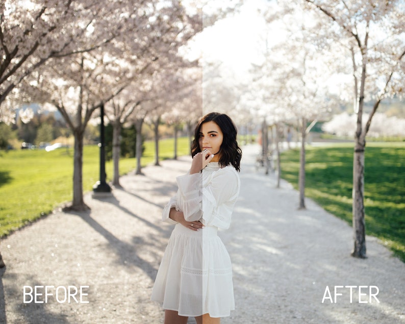 Best Lightroom Presets