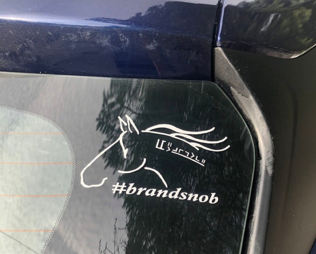 Cavallo Selvaggio Wyoming Dei Mustang Fotografia Stock - Immagine Di - Foto 3