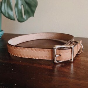 Handstamped leather dog collar | leather dog collar