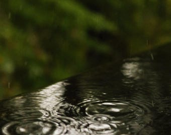 Rainy Day