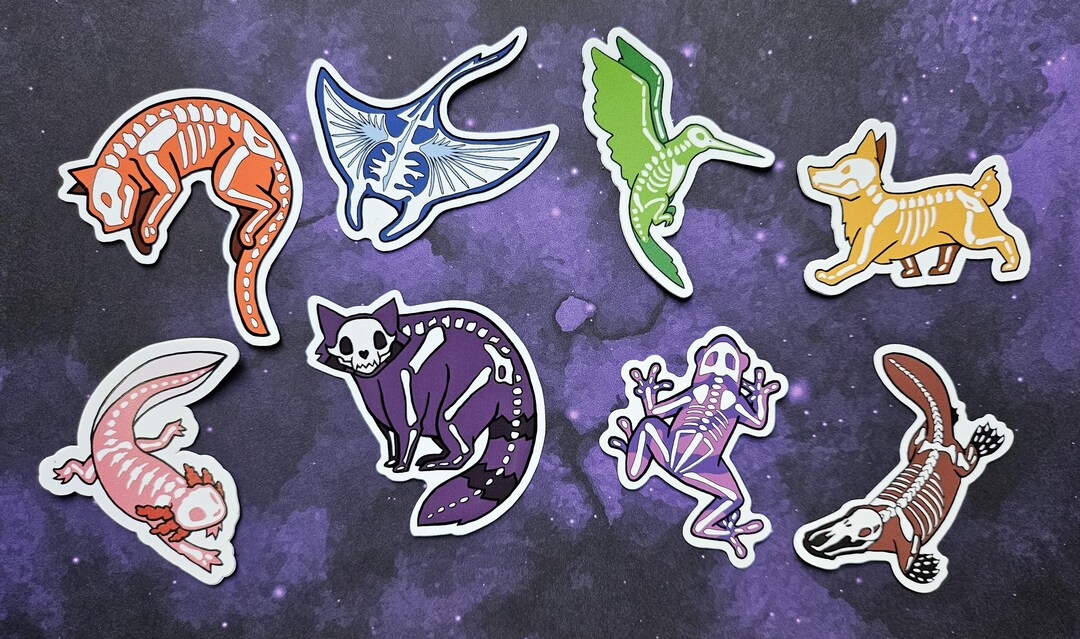 Animal Skeleton Stickers, Vinyl Sticker Pack - Etsy