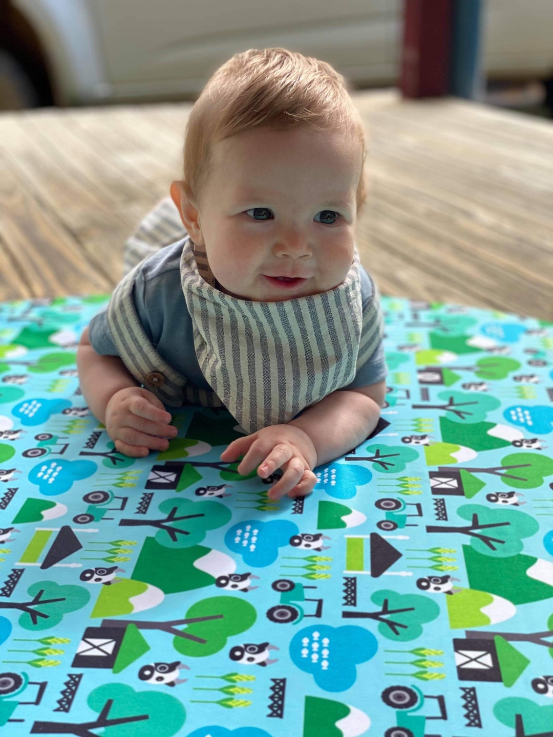 Waterproof Baby Playmat, Farm Animals, Waterproof Playmat, Baby Playmat